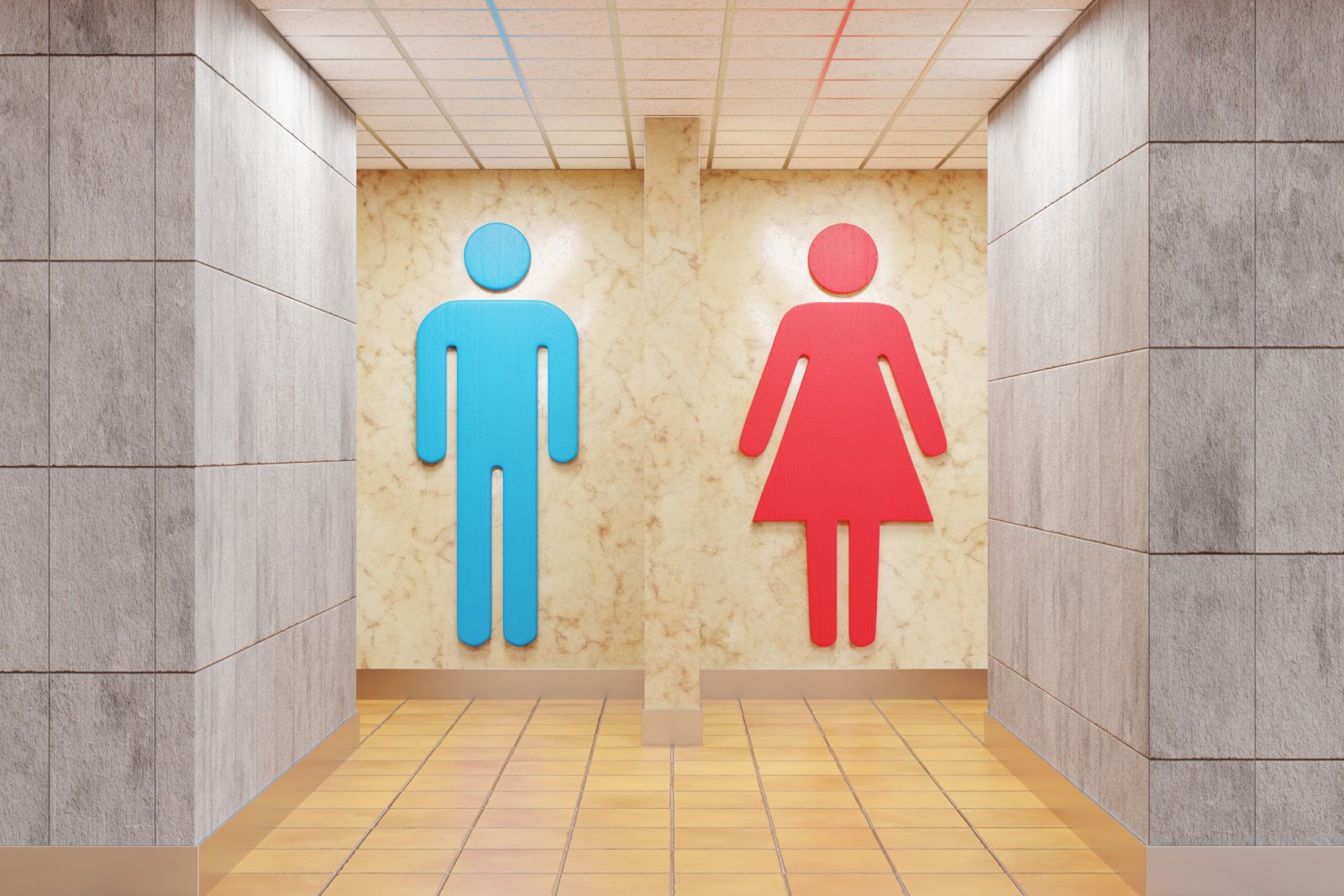 Continence issues: an overview
