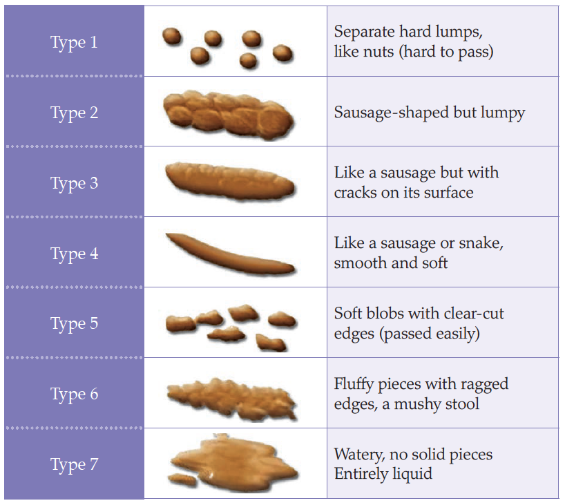 Bristol Stool Chart