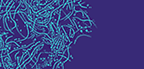 Urology & Continence Care Today