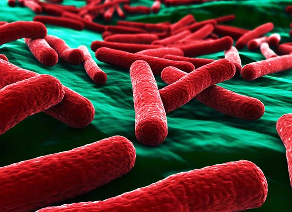 MHRA approves UK’s first new type of antibiotic for urinary tract infections in nearly 30 years